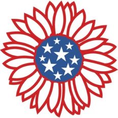 american sunflower