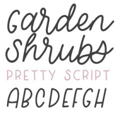 dtc garden shrubs script font