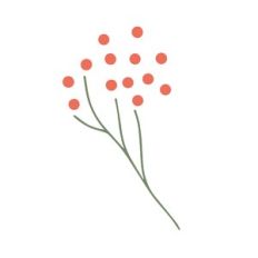 popping flower
