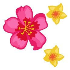tropical flowers