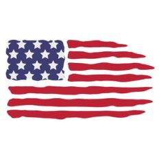 american flag