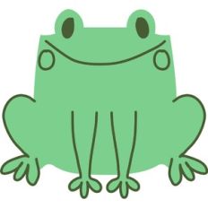 cute frog
