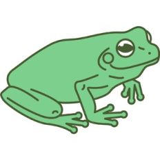 frog outline