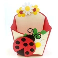 ladybug fry box large