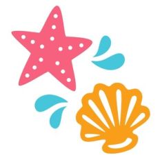 starfish and shell