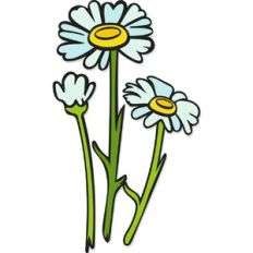 pretty daisies