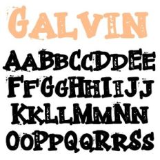 zp galvin