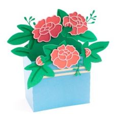 peonies flowers box card