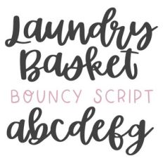 dtc laundry basket bold script font