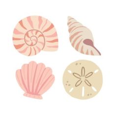 seashells
