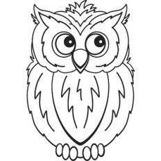 owl