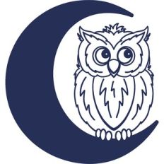 owl on moon
