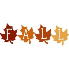 fall leaves