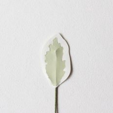 variegated leaf by farren celeste