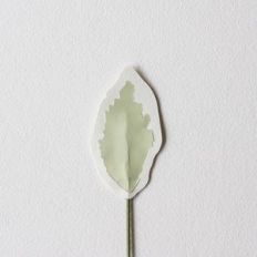 variegated leaf by farren celeste