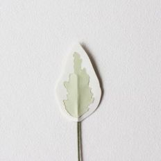variegated leaf by farren celeste