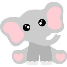 baby elephant