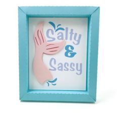 salty and sassy 4 x 5 shadowbox