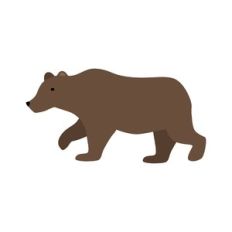 brown bear