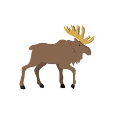 moose