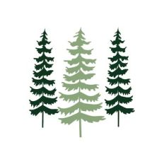 forest trees