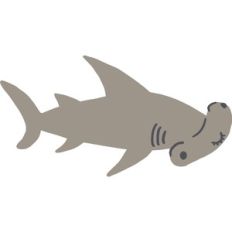 hammerhead shark