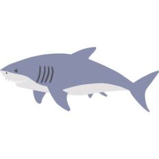 shark