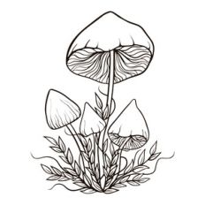 silhouette mushrooms
