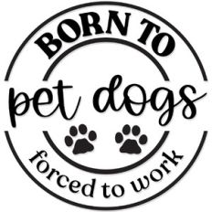 born to pet dogs forced to work
