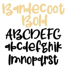 pn bandecoot bold