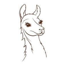 funny lama