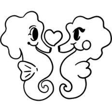 cute seahorses