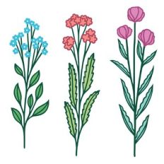 flowers
