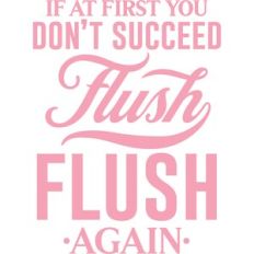 if at first you don't succeed flush flush again