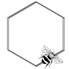 bee hexagon frame