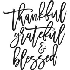 thankful grateful and blessed