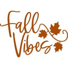 fall vibes