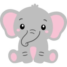 baby elephant