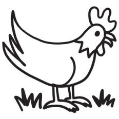 rooster