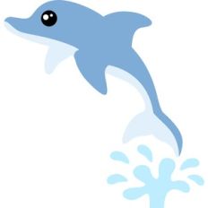 cute dolphin