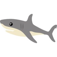 cute shark