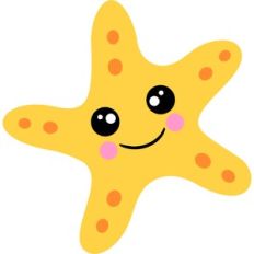 cute starfish