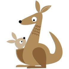 kangaroo