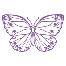 silhouette butterfly
