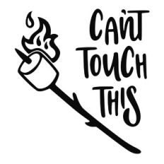 can't touch this