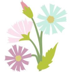 colorful flowers