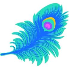 funky neon peacock feather