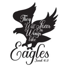 they will soar on wings like eagles - bible verse