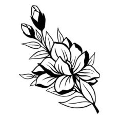 magnolia flower