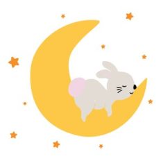 bunny on the moon